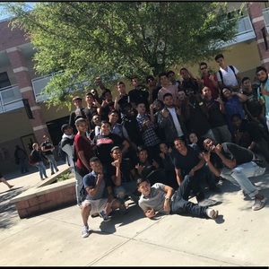 Meet your Posher, Hector