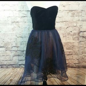 Floreat Velvet & Embroidered Tulle Strapless Dress