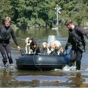 Meet your Posher, Troy