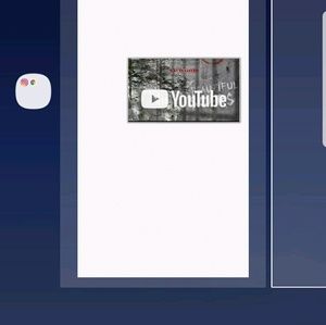 Meet your Posher, Raynell