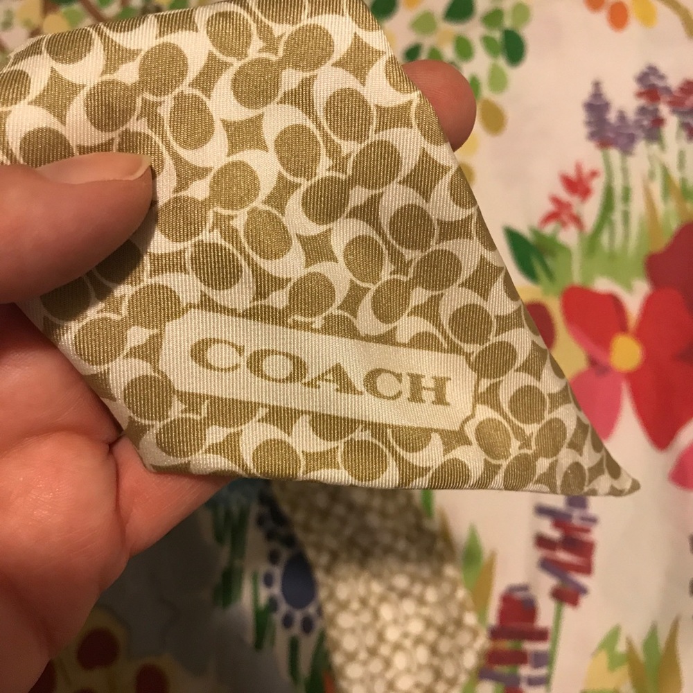Coach Silk Skinny Scarf - perfect accent piece