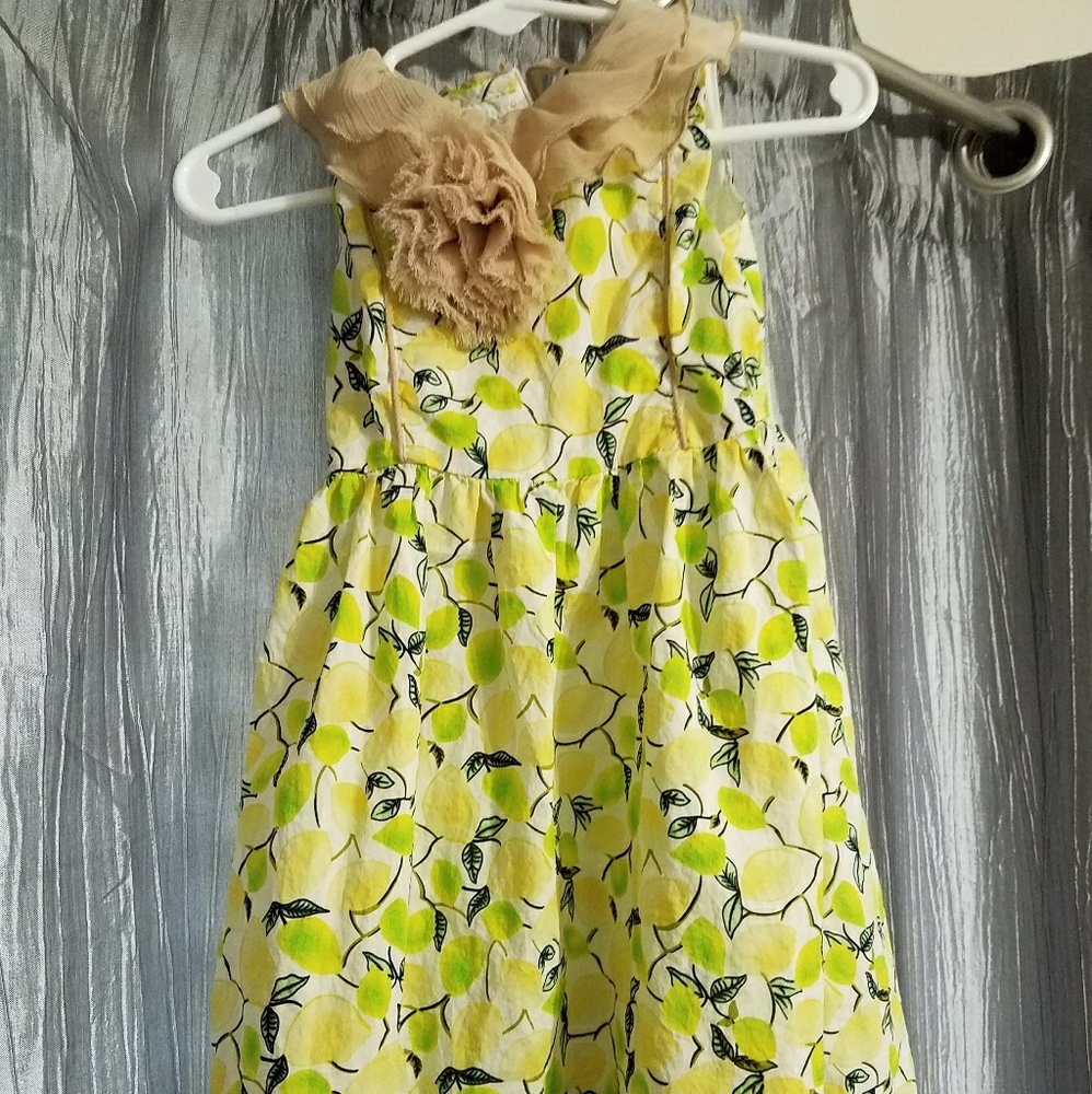 Trish Scully dress worn once
