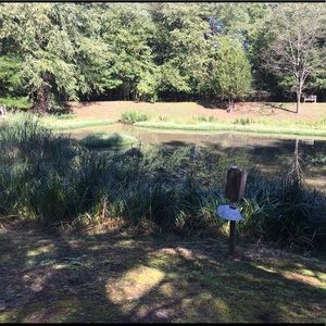 Meet your Posher, Mia