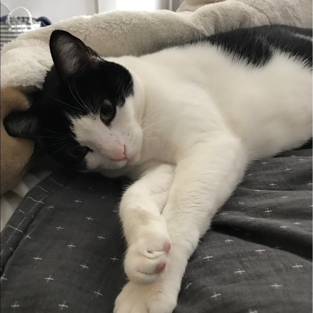 Meet your Posher, Sarah