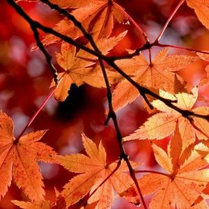 Meet your Posher, Kristy