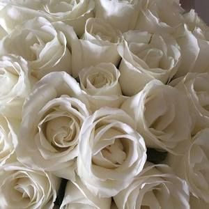 Meet your Posher, Sumaiya