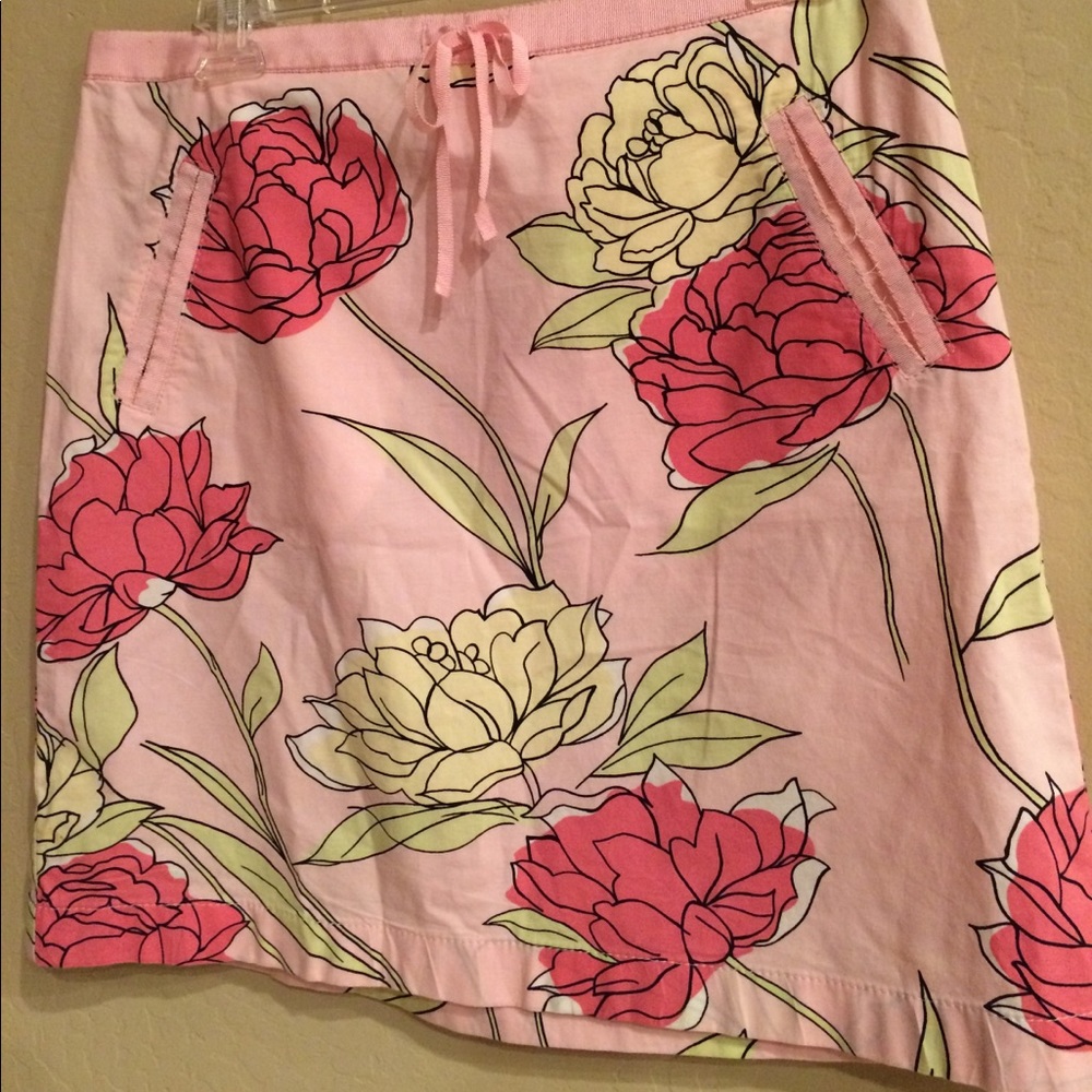 Ann Taylor Loft skirt.