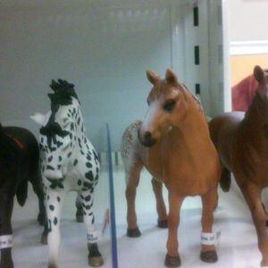 Meet your Posher, Leah