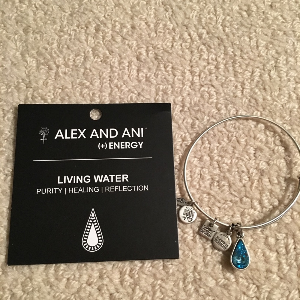Alex and Ani Living Water Bangle Bracelet