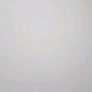 Meet your Posher, Adelmo