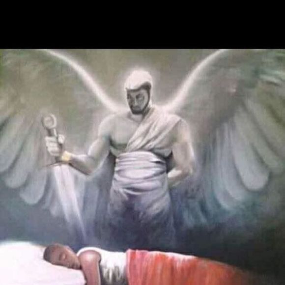 Meet your Posher, Victor - Picture 1 of 1