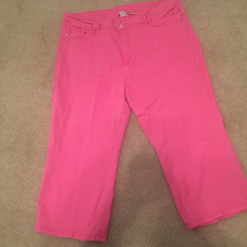 Plus Size Pink Pants
