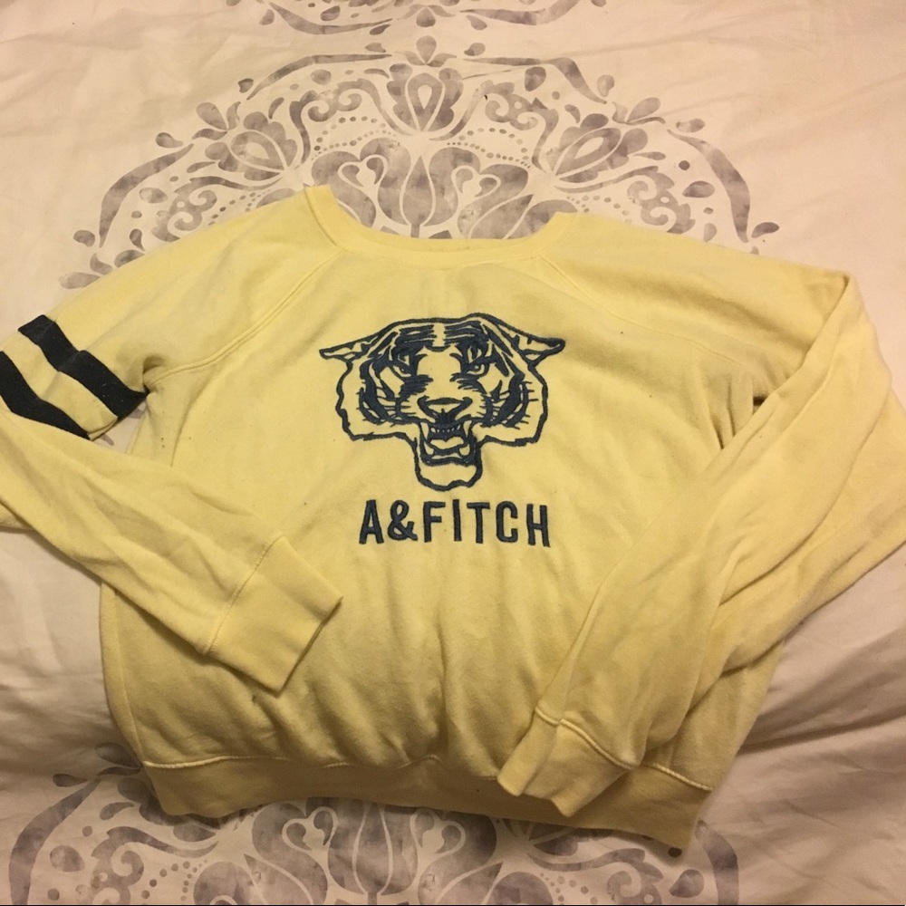 Abercrombie and Fitch Sweatshirt