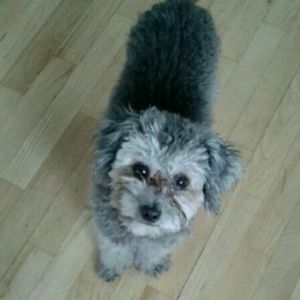 Meet your Posher, Beatriz