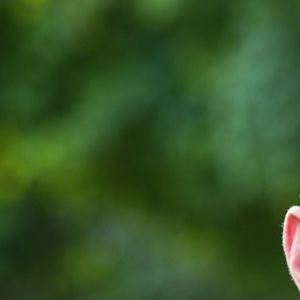 Meet your Posher, Erik