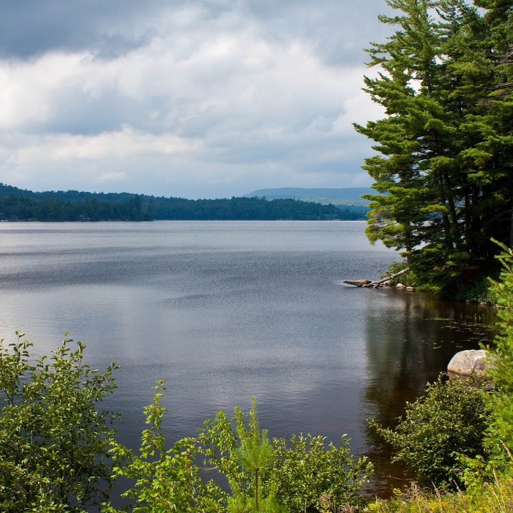 Meet your Posher, Lachelle