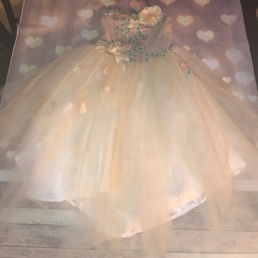 PROM!  Gorgeous princess's  dress.•*