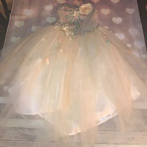 PROM!  Gorgeous princess's  dress.•*