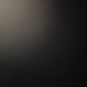 Meet your Posher, Dylan