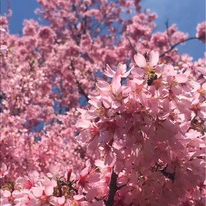 Meet your Posher, Vicky