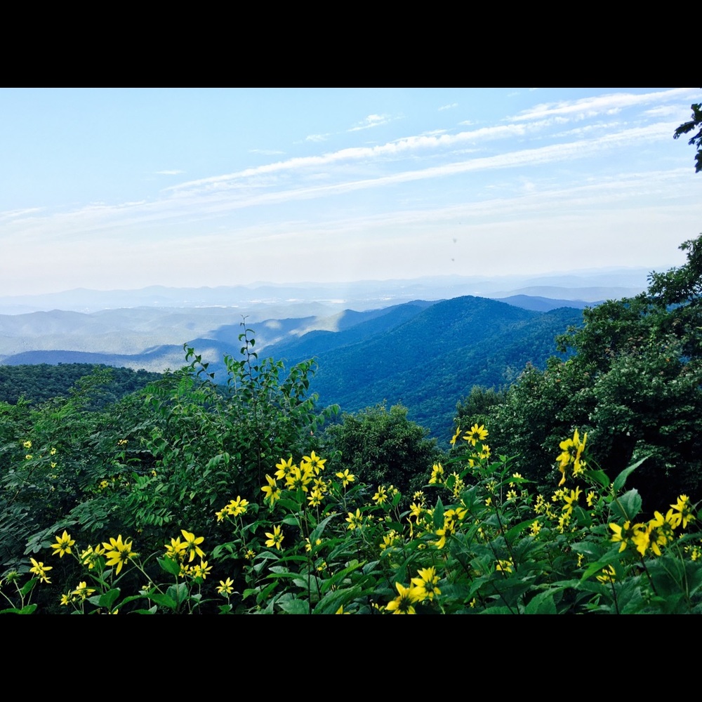 Meet your Posher, Jenny