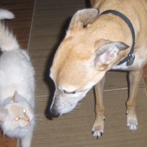 Meet your Posher, Nancy