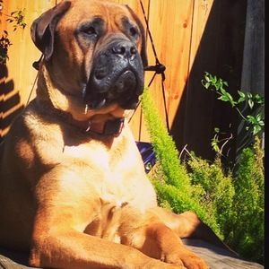 Meet your Posher, Mason