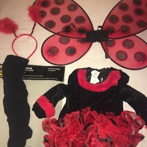 lil ladybug toddler Halloween costume