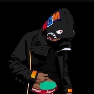 Meet your Posher, Hamzo