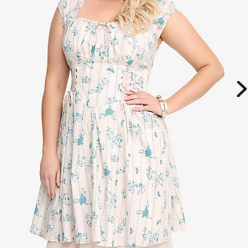 Torrid Disney Cinderella Dress