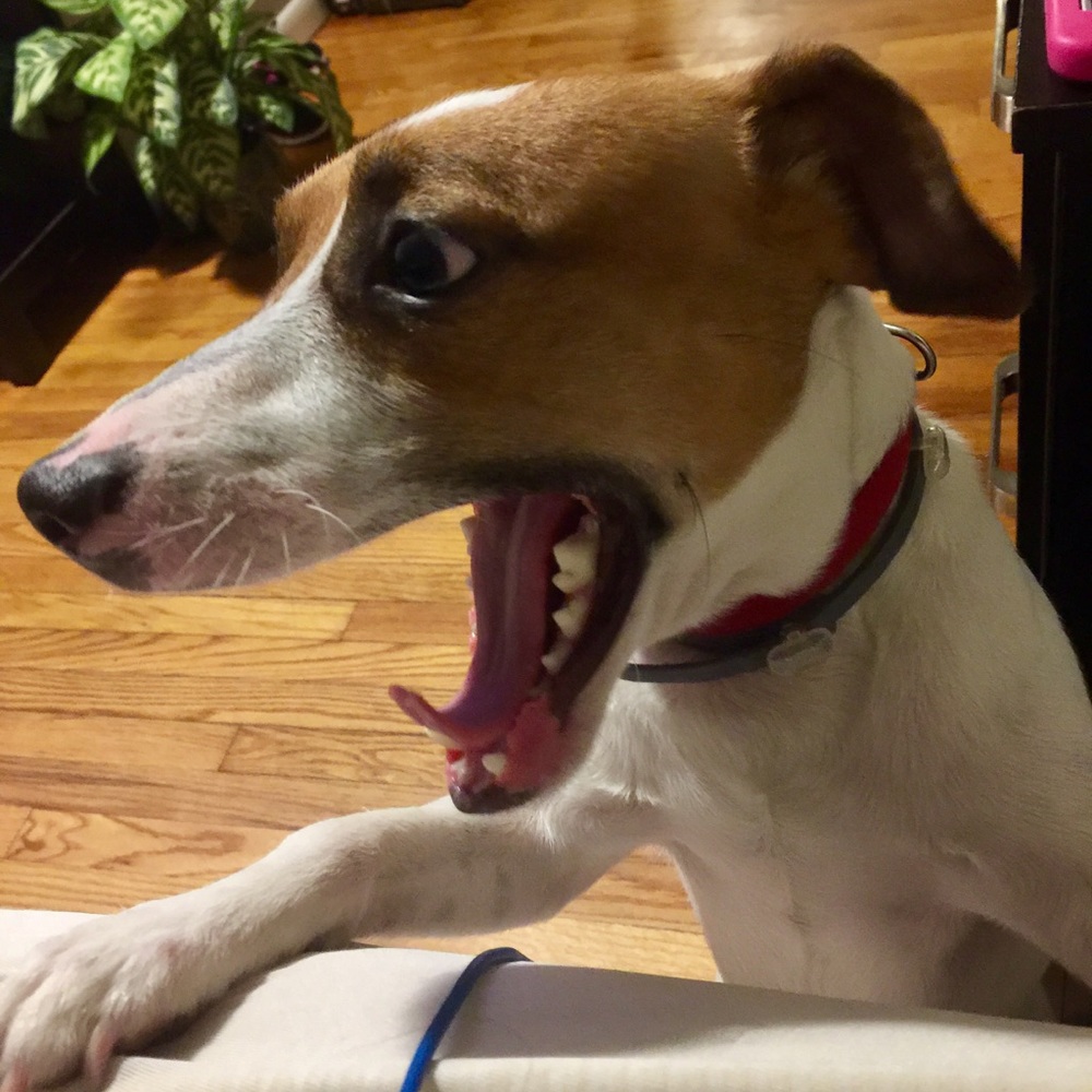 Meet your Posher, Angie