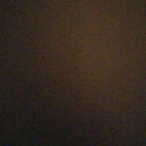 Meet your Posher, Manuel