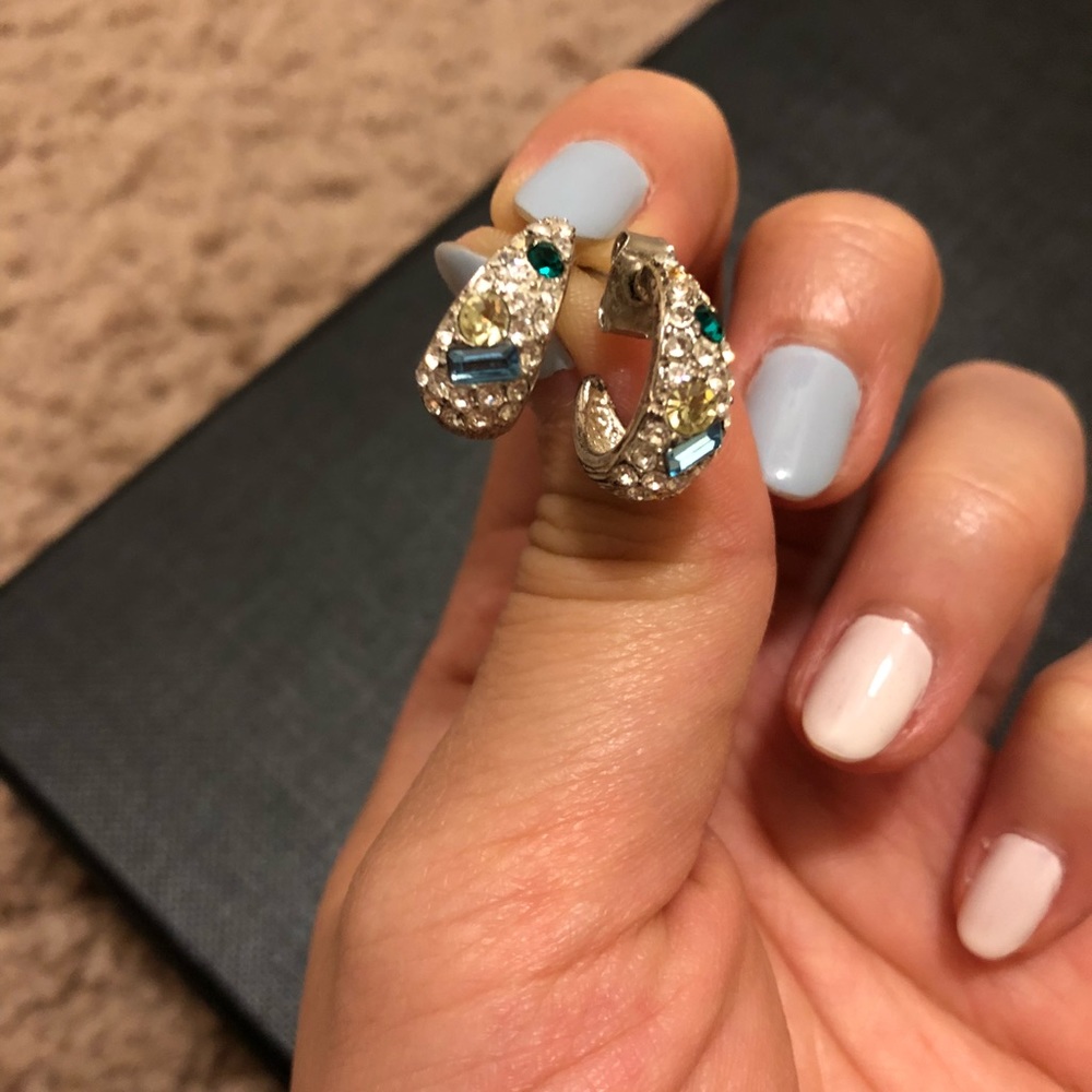 Earrings