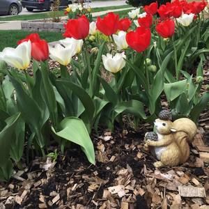 Meet your Posher, Carrie