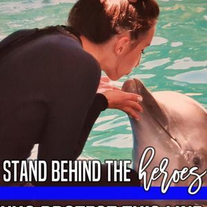 Meet your Posher, Cayley