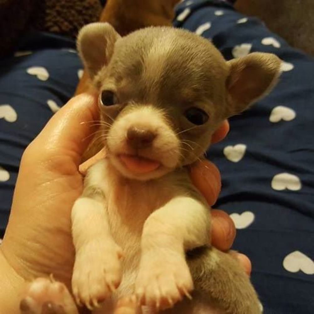 Meet your Posher, Beth