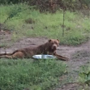 Meet your Posher, Wilfred