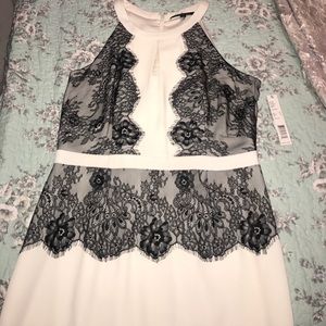 Gianni Bini NWT dress