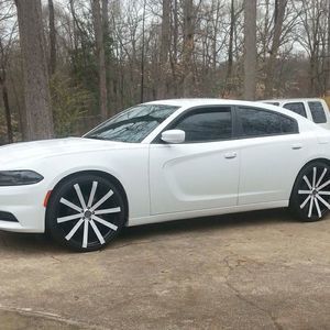 Meet your Posher, Bruce