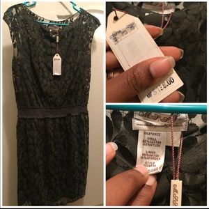 max studio specialty products