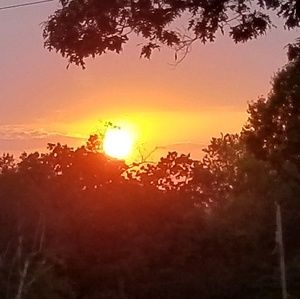 Meet your Posher, Jen