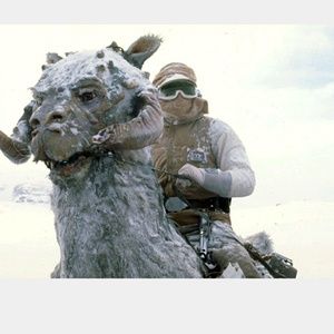 Meet your Posher, Mindy