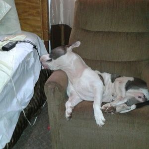 Meet your Posher, Ruby