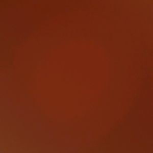 Meet your Posher, Leon