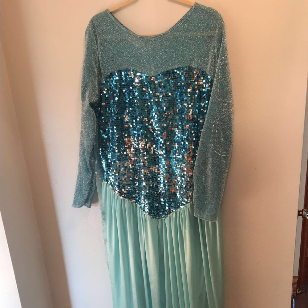 Adult Elsa Costume