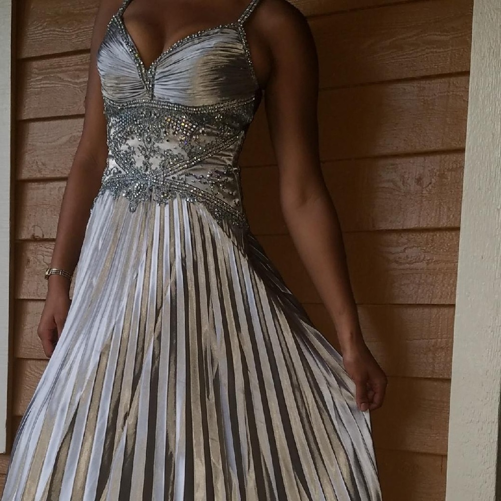 Beautiful Silver Gown