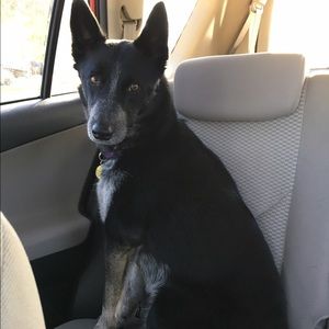 Meet your Posher, Kristen