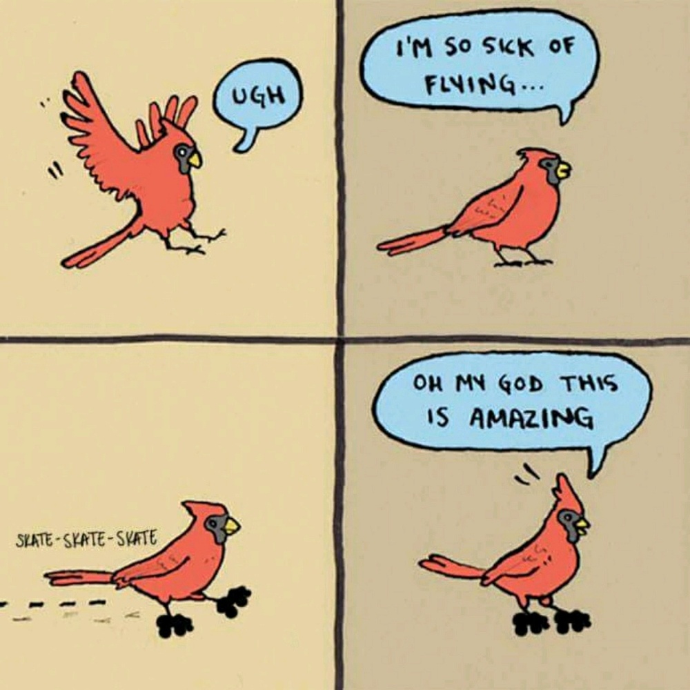 Meet your Posher, Molly