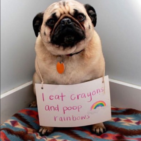 Meet your Posher, Sheila - Picture 1 of 1