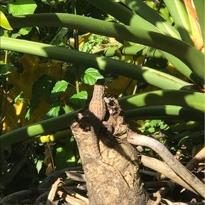 Meet your Posher, Wei